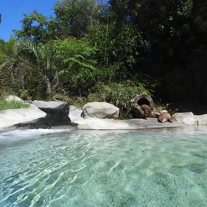 Part of giant otter enclosure