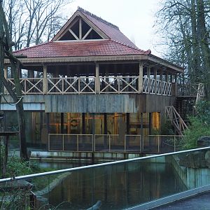 Sulawesi crested macaque house with new viewing area on top, 2024-01-01