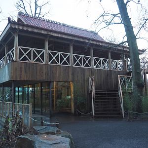 Sulawesi crested macaque house with new viewing area on top, 2024-01-01