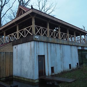 Sulawesi crested macaque house with new viewing area on top, 2024-01-01