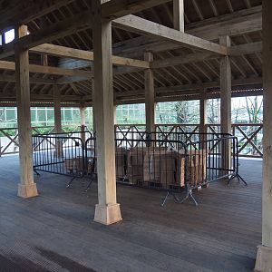 New viewing area on top of the Sulawesi crested macaque house, 2024-01-01