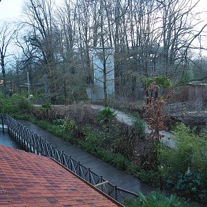 Walkway and tree-top walk structures seen from the viewing area on top of the Sulawesi crested macaque house, 2024-01-01