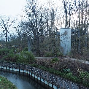 Walkway and tree-top walk structures seen from the viewing area on top of the Sulawesi crested macaque house, 2024-01-01