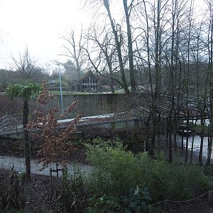 Entrance to the tree-top walk and Asian elephant paddock seen from the viewing area on top of the Sulawesi crested macaque house, 2024-01-01