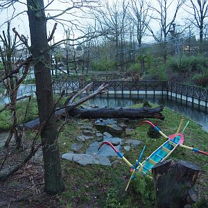 Sulawesi crested macaque island seen from the viewing area on top of the Sulawesi crested macaque house, 2024-01-01