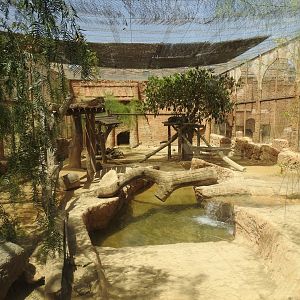 Enclosure for Leopards