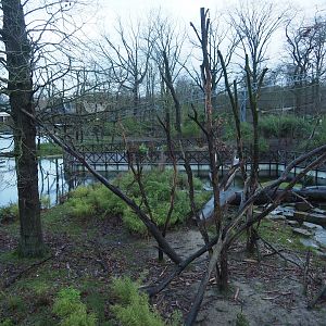 Sulawesi crested macaque island seen from the viewing area on top of the Sulawesi crested macaque house, 2024-01-01