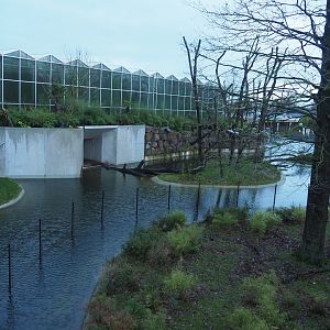 One of the orangutan and gibbon islands seen from the viewing area on top of the Sulawesi crested macaque house, 2024-01-01