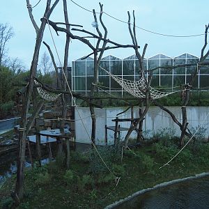 Sumatran orangutan and Asian small-clawed otter island seen from the viewing area on top of the Sulawesi crested macaque house, 2024-01-01