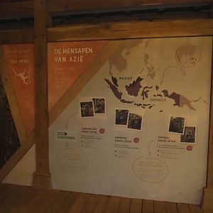 New Sumatran orangutan educational signage, 2024-01-01