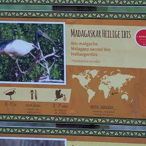 Madagascar sacred Ibis signage, 2024-01-01