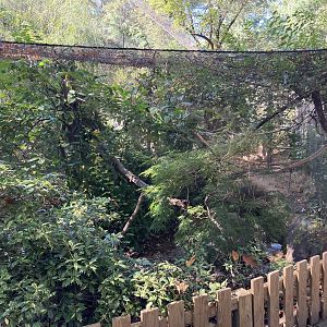 Tisch Children’s Zoo - Laughing Kookaburra Aviary
