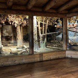 Minnesota Trail - Northern Raccoon Exhibit