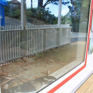 new Lace Monitor enclosure