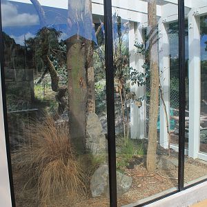 new Lace Monitor enclosure