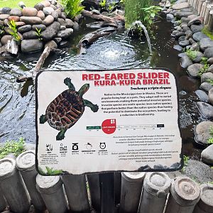 red-eared slider (trachemys scripta elegans) signage