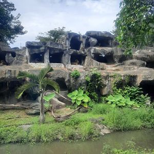 safari journey - barbary sheep (ammotragus lervia) exhibit