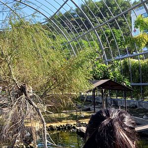 Waterfowl aviary, Jojozoo Bird Park