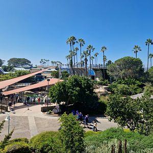 View from dolphin stadium