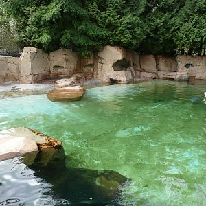 Sea Lion and Seal pool