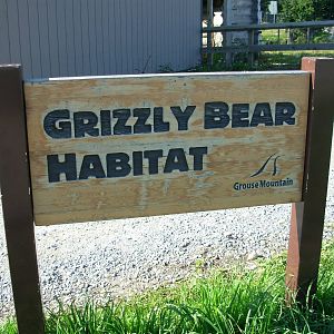 Grizzly Bear Habitat