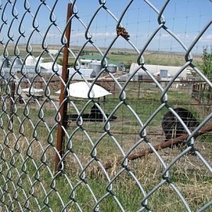 Second Bear enclosure - Guzoo May 2008