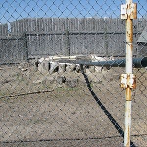 Capybara/Goose Pool - Guzoo May 2008