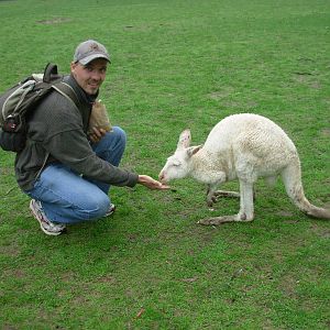 Myself and an albino roo - Cleland Wildlife Park