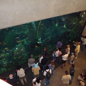 Seattle Aquarium