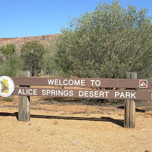 Alice Springs Desert Park