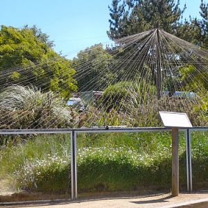 green lizard enclosure Durrell/Jersey