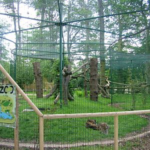 Amazona Zoo, Cromer: Jaguar enclosure