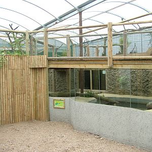 Amazona Zoo, Cromer: Caiman pool