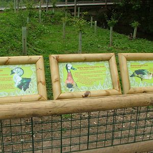 Amazona Zoo, Cromer: Signage examples