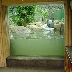 Auckland Zoo