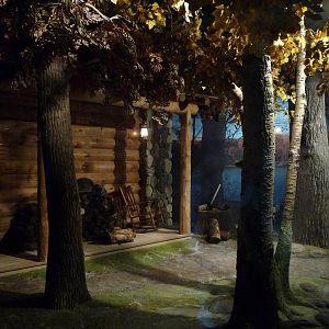 Raccoon Exhibit - Minnesota Zoo