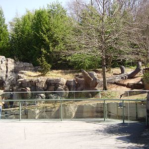 Outdoor Giant Panda enclosure