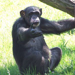 "Come with me if you want to live" (suggested by Chlidonias) ;)