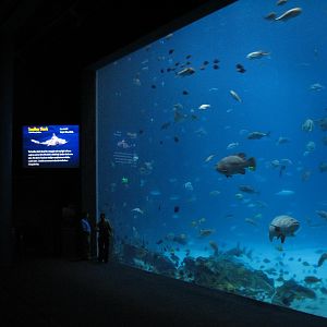 Ocean Voyager - Main Viewing Window