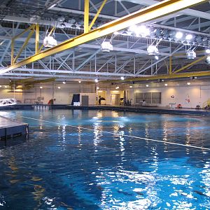 Ocean Voyager - Behind the Scenes Top View