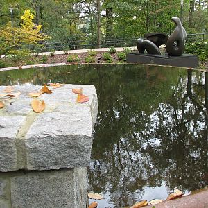 Southern Seasons Garden