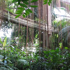 Tropical Rotunda Interior