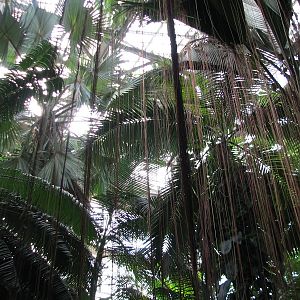 Tropical Rotunda Interior