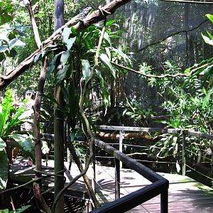 Walk-thru Reptile exhibit
