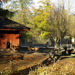 Tierpark Lange Erlen
