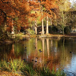 Tierpark Lange Erlen
