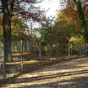 Tierpark Lange Erlen - Roe deer exhibit