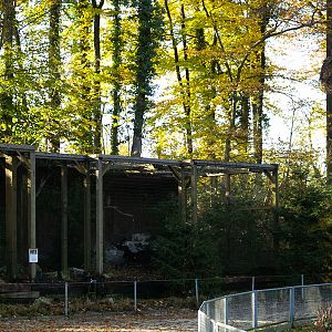 Tierpark Lange Erlen - Eagle owls