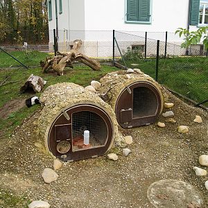 Tierpark Lange Erlen - Farm