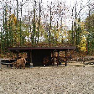 Tierpark Lange Erlen - Farm